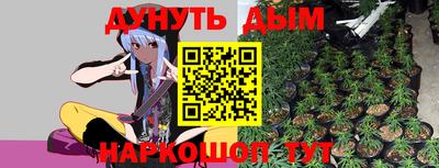 шишки Гай