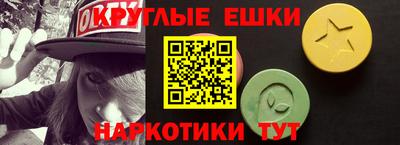 шишки Гай