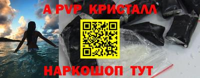 шишки Гай