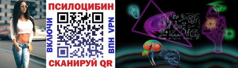 Псилоцибиновые грибы GOLDEN TEACHER  Нерюнгри 