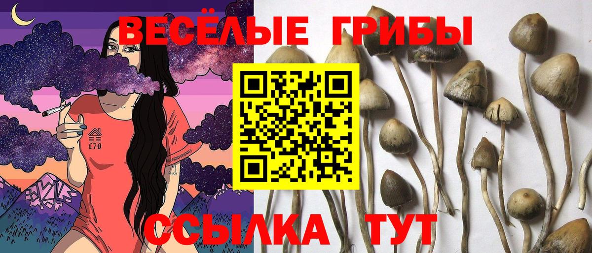Нерюнгри  Галлюциногенные грибы GOLDEN TEACHER  Вход с VPN 